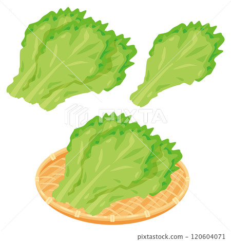 將生菜放入漏杓中 將生菜放入漏杓中 120604071