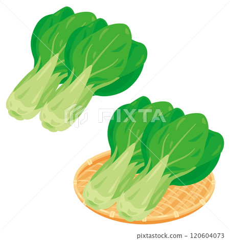 白菜放入濾鍋中 120604073