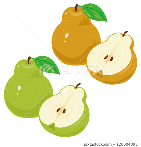 一組切成兩半的梨 120604098