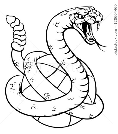 Rattlesnake Basketball Animal Sports Team Mascot Rattlesnake Basketball Animal Sports Team Mascot 120604460