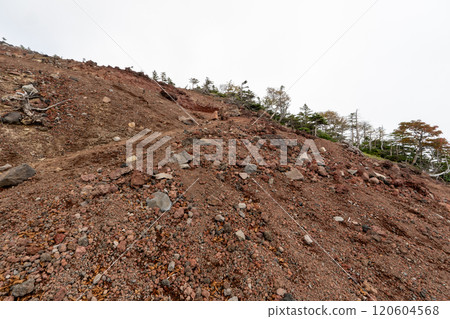 Futarasan Shrine Chugushi Shrine and Mt. Nantai 120604568
