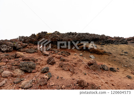 Futarasan Shrine Chugushi Shrine and Mt. Nantai 120604573