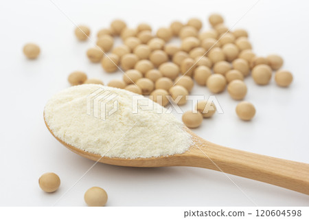 白色背景大豆湯匙上的蛋白粉 120604598