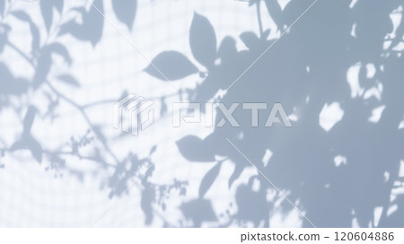 Leaf shadow silhouette material 120604886