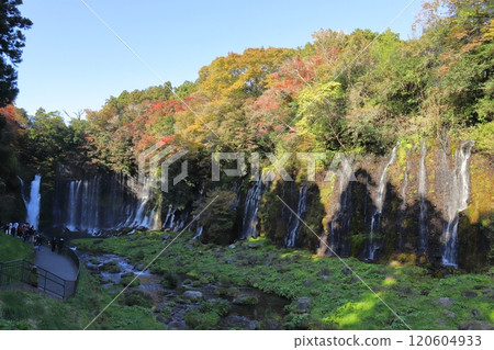 Shiraito Falls 120604933
