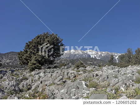 Landscape at Aradena, Sfakia, S Crete, Greece. View of Lefka Ori mt  120605202