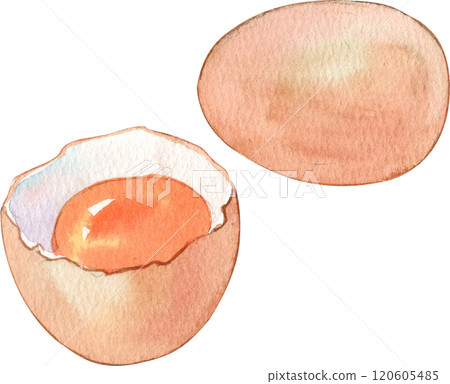 Whole egg and halved egg, Hand Drawn Illustration Watercolor paintin Whole egg and halved egg, Hand Drawn Illustration Watercolor paintin 120605485