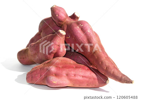 紅薯 (beni-kogane) 紅薯 (beni-kogane) 120605488