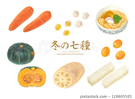 七個冬季物種的水彩手繪向量圖 七個冬季物種的水彩手繪向量圖 120605585