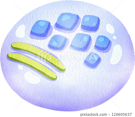 Blue Nerikiri, Japanese Dessert, watercolor digital painting hand-drawn illustration 120605637