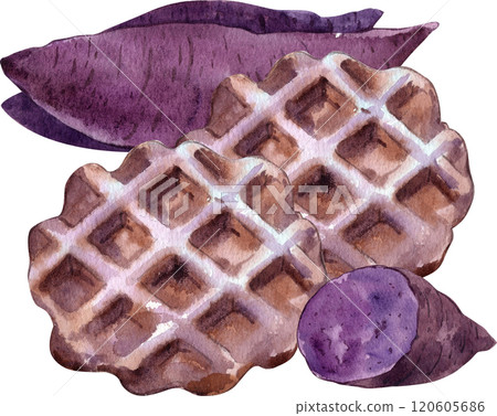 Illustration of sweet purple sweet potato waffles, hand-drawn in watercolor. 120605686