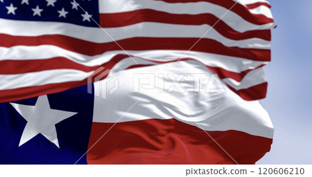 Texas state flags waving in the wind with american flag 120606210