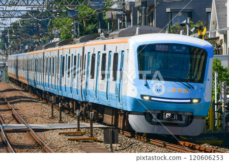 小田急 5000 型 Mokoron 全包 5055F 小田急 5000 型 Mokoron 全包 5055F 120606253