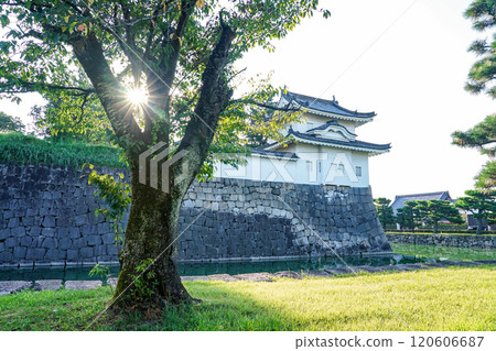 二條城塔西南角塔(京都府京都市) 二條城塔西南角塔(京都府京都市) 120606687