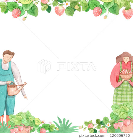 sweet strawberry celebration, strawberry festival, hand-drawn watercolor painting frame design 120606730