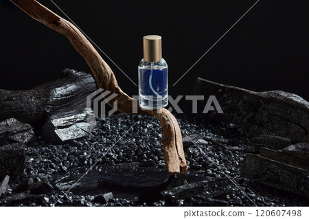 A close-up view of a perfume bottle without a brand placed on a dry tree branch, surrounded by black gravel and charcoal on the surface. The dark background creates luxurious space for the product. 120607498