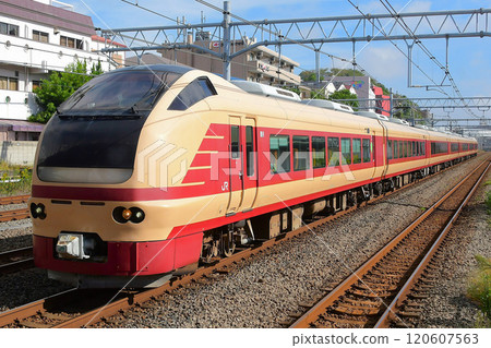 E653 series 1000 series K70 train JNR limited express color 120607563