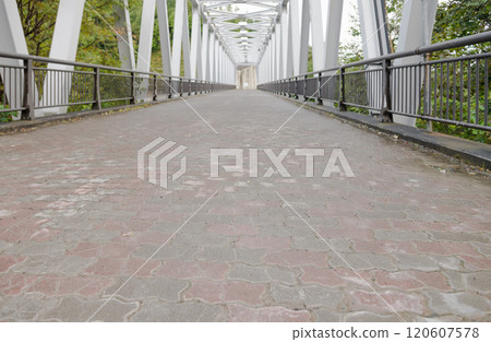 [美瑛町白須瀑布附近的藍河大橋] 120607578