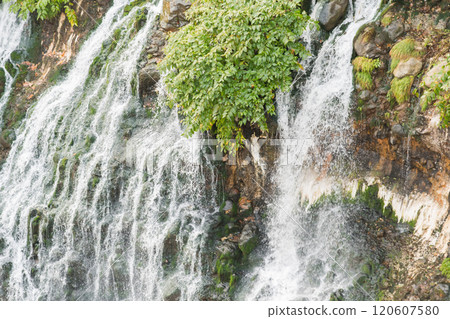 [Shirahige Falls, Biei Town] 120607580