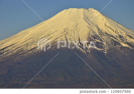 Mount Fuji in the morning glow from the summit of Ishiwariyama in the Doshi Mountains 120607980