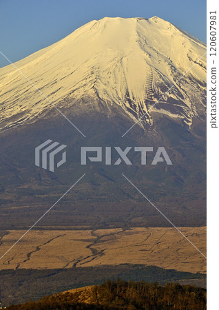 Mount Fuji in the morning glow from the summit of Ishiwariyama in the Doshi Mountains 120607981