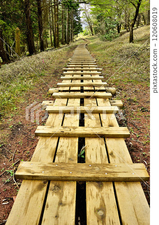Himeji in Tanzawa: A trail along the Tanzawa ridge in the season of fresh greenery 120608019
