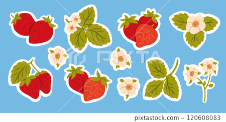 Strawberry Fruit Flat Sticker Vector Set with Berries, Leaves, Flowers, Branches Strawberry Fruit Flat Sticker Vector Set with Berries, Leaves, Flowers, Branches 120608083