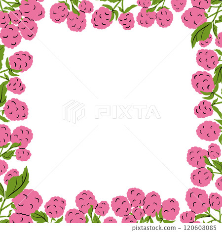 Raspberry Frame Border Cartoon Colored Vector Illustration 120608085