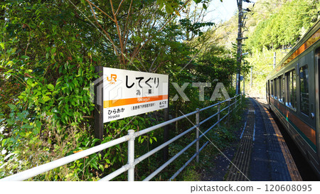 飯田線_為栗站站名牌及列車 120608095