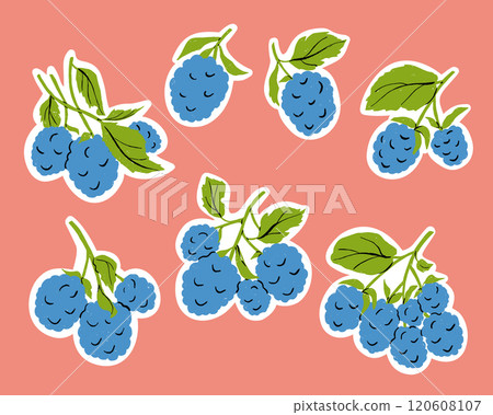 Sticker Set with Blackberry Branches Vector Illustration on White Background 120608107