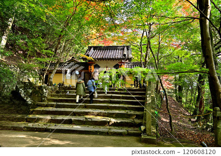 Eigenji Temple Main Gate Eigenji Temple Main Gate 120608120