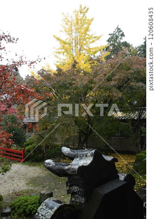 玉木興光寺 秋葉 120608435