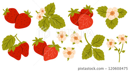 Red Berry Strawberry and a Half of Strawberry. Flat Set Flower, Petal, Strawberry Isolated on White Background 120608475