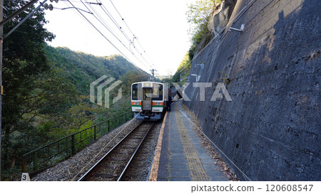 Iida Line_Tamoto Station platform Iida Line_Tamoto Station platform 120608547