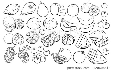 Black Fruit Outline Icon Set Isolated on White Background Black Fruit Outline Icon Set Isolated on White Background 120608618