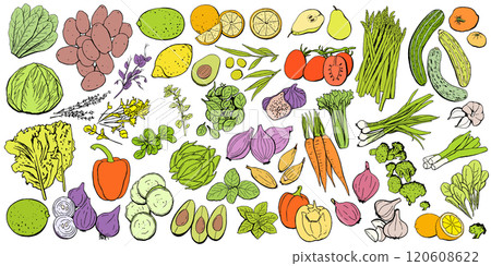 Vegetables and Fruits Colored Icon Set. Vector Illustration in Black Lines Isolated on White Background 120608622