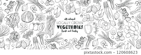 Organic Vegetables Food Banner Vector Illustration 120608623