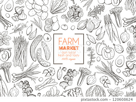 Vegetables Food Farm Market Banner 120608624