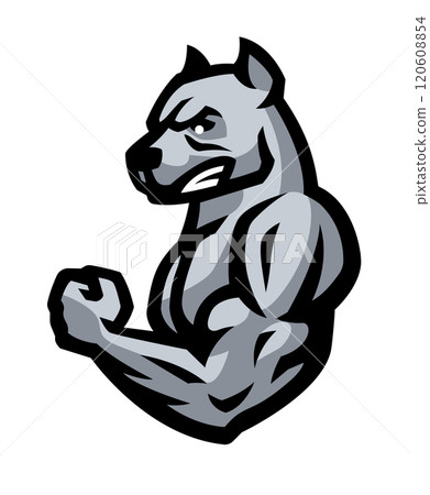 Bodybuilder with a pitbull head. Bodybuilder with a pitbull head. 120608854