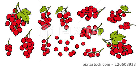 Currant Fruit Branch Icon Set. Food Vector Illustration 120608938