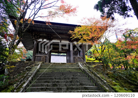 Saimyoji Temple Nitenmon Gate Saimyoji Temple Nitenmon Gate 120609110