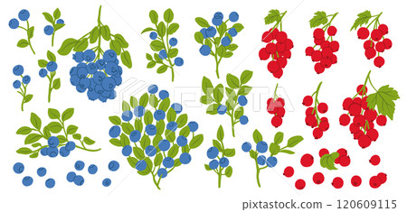 Blueberry Currant Fruit Branch Icon Set. Berries Food Vector Illustration Blueberry Currant Fruit Branch Icon Set. Berries Food Vector Illustration 120609115