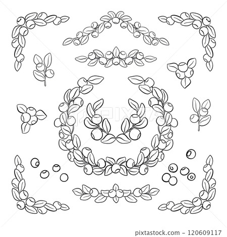 Blueberry Graphic Design Element Set. Outline Vector Illustration Isolated on White 120609117