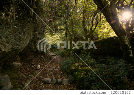 Meteora hiking trail in the forest, Greece Meteora hiking trail in the forest, Greece 120610192