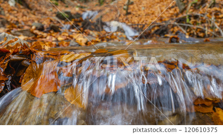 Hayedo de la Pedrosa Natural Protected Area, Spain 120610375