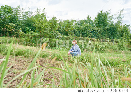 Fields and women, farmers, home gardens, rural life Fields and women, farmers, home gardens, rural life 120610554