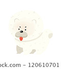 White dog 120610701