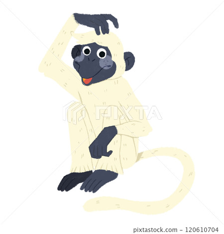 monkey monkey 120610704