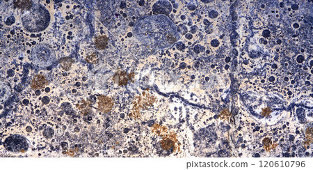 Wall Surface 120610796