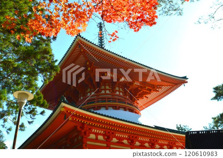 秋葉的高野 120610983